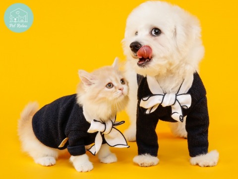 เสื้อผ้าน้องหมาคุณภาพดี